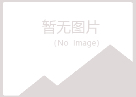 伊春新青夏日木材有限公司